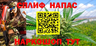 индика Лесосибирск