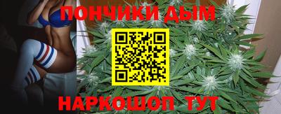 индика Лесосибирск