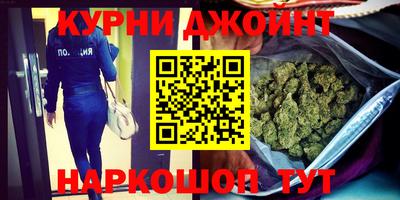 индика Лесосибирск