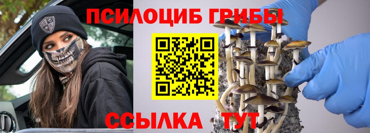 Псилоцибиновые грибы Psilocybine cubensis  Вход с VPN  Егорьевск  Галлюциногенные грибы мухоморы 
