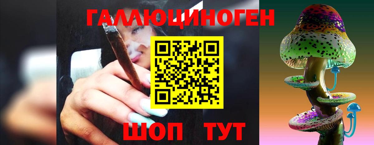 Галлюциногенные грибы Psilocybe Егорьевск